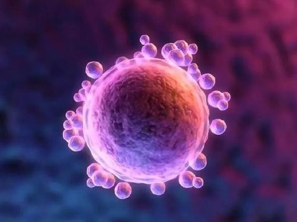 国内冻卵医院均不对未婚女性开放，这些规定一定得提前了解