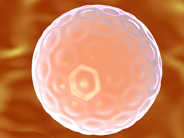 取卵当天费用明细表：和取卵个数真没关系