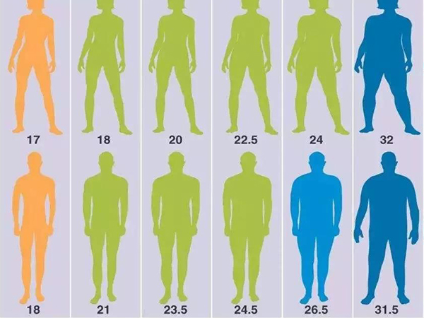 男性bmi正常值范围有新标准,在这个区间才是标准的好身体