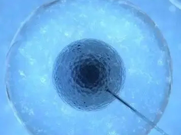 解析囊胚最晚着床时间，7天绝不是最后期限