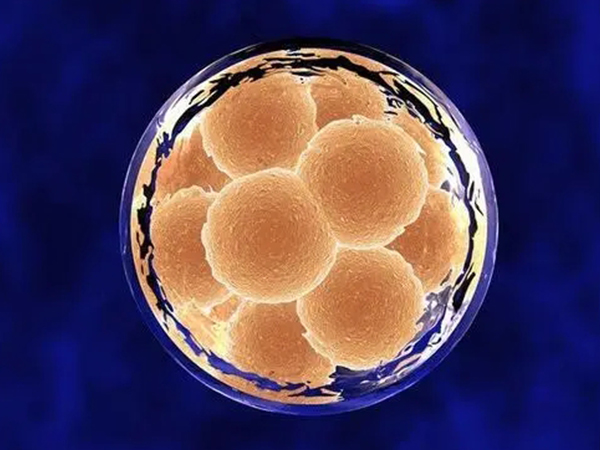 移植鲜胚后这些大忌不能犯，不注意清淡饮食恐成大问题