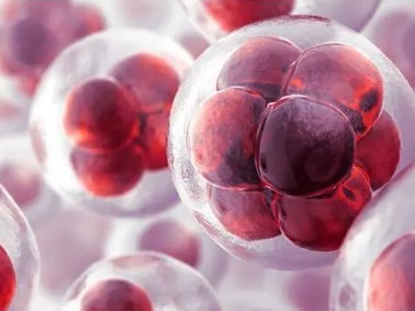 找到优质囊胚也会着床晚原因了，子宫内膜过厚原来影响这么大