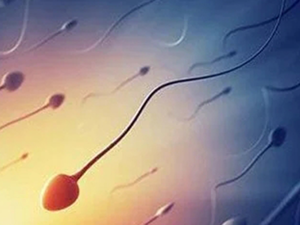 别再久坐了，男士精子死精的原因可能就在这里