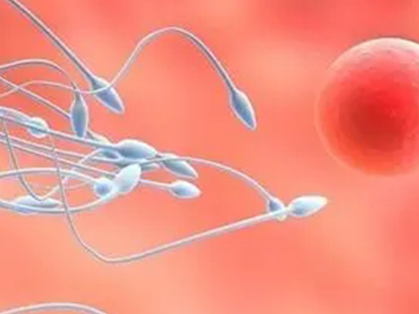 盘点死精能调理成活精的十大食物，难怪富硒鱼备受男士欢迎