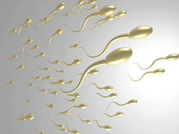 细数患上死精症的四大症状，性生活无力的男士要注意了