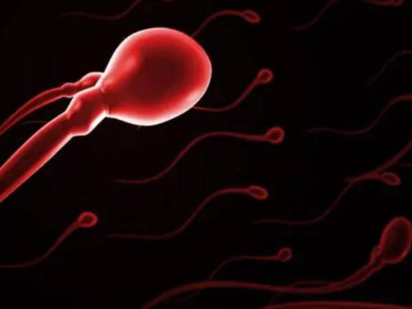 揭秘慢性血精形成原因，精囊炎最为常见