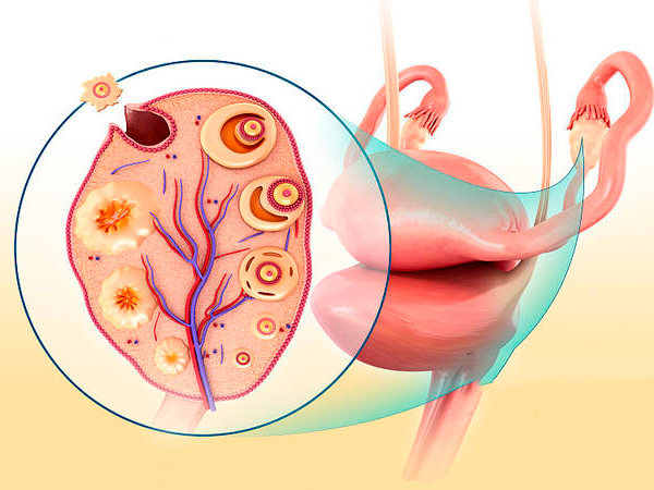 终于知道为啥ppos方案不能移植鲜胚了，看等待时间你就懂了