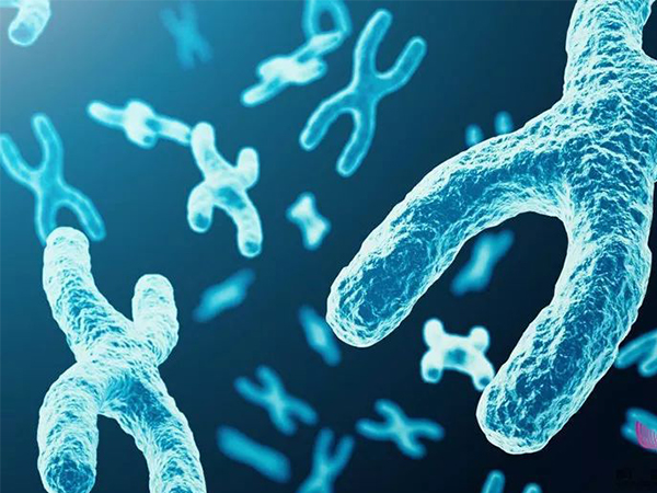 超雌综合症女性并非外貌都漂亮，这三大症状才是判断依据