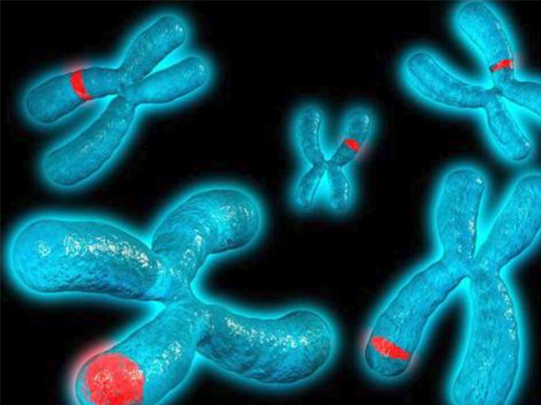 剖析超雌综合症的形成原因，性染色体异常成罪魁祸首