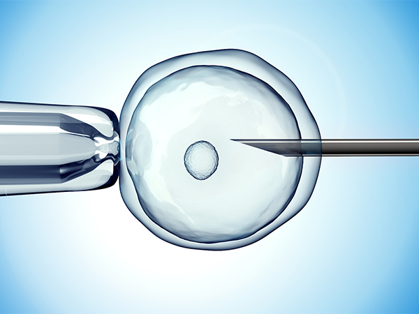 试管取卵后两天就能移植了？等待时间得因人而异