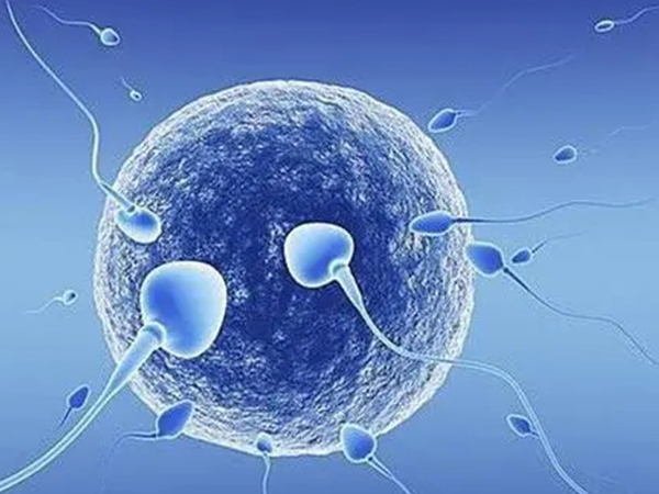 供卵5次不成功原因剖析，子宫环境或许有大问题