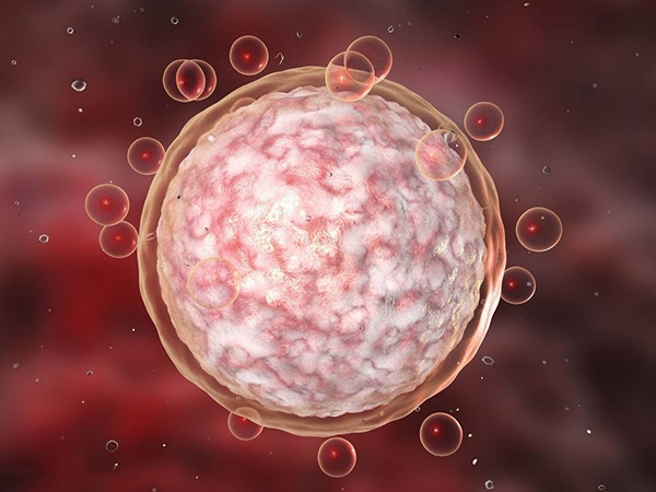 卵子透明带异常有办法调理，辅助孵化由厚变薄很简单