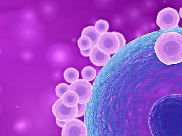 科普卵子透明带缺失的原因，没有“外衣”可能是基因的锅