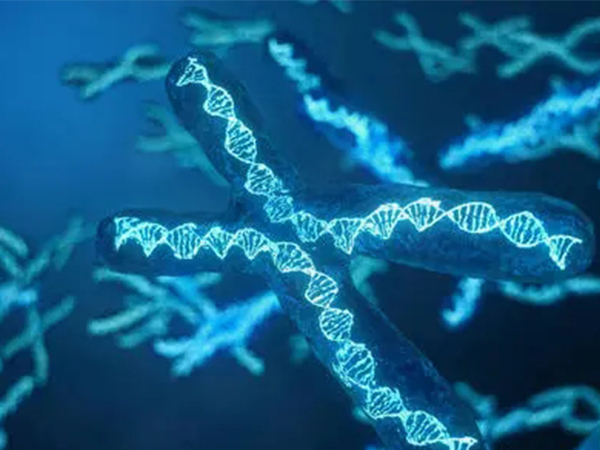 16三体预防措施有局限，做好染色体检查才能尽可能避免