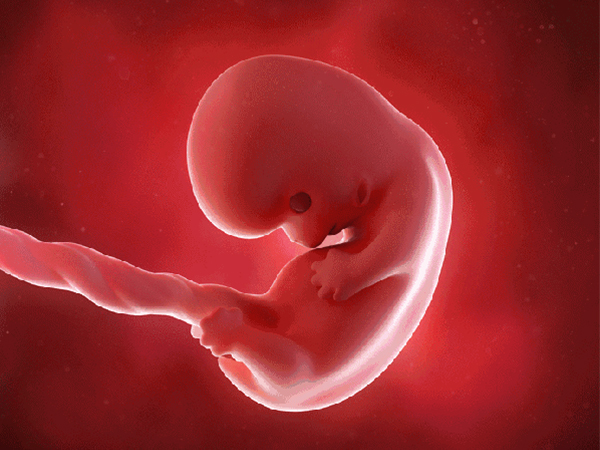 试管移植后防止生化有三招，剧烈运动绝对不可取