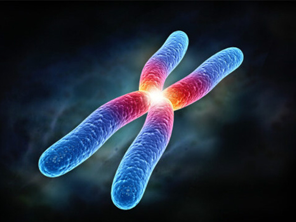 女性染色体异常时身体调理要做好，这些饮食禁忌可别碰