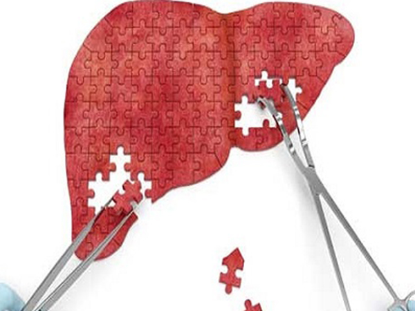 千万不要嫁给乙肝人？携带者的危害远没有那么严重