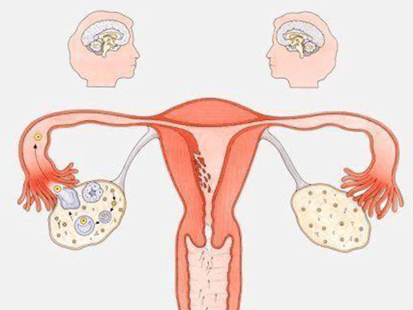 47岁不来例假有办法调理，除了吃药还可以这么做