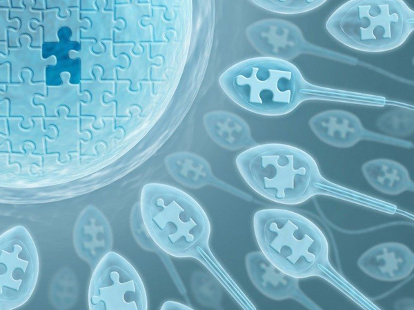 三代试管进入周期超详细步骤来了，这份流程图赶紧记下来