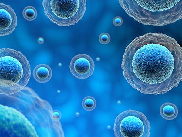 深究引起nk细胞偏高的三大因素，感染或成最大原因