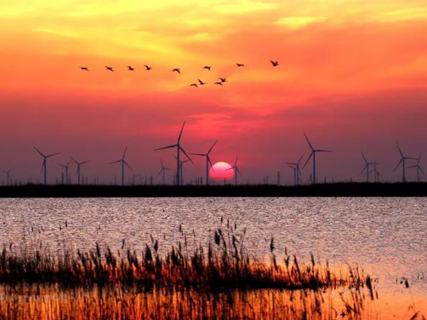 东营试管婴儿医院排名，2022助孕费用、成功率数据参考