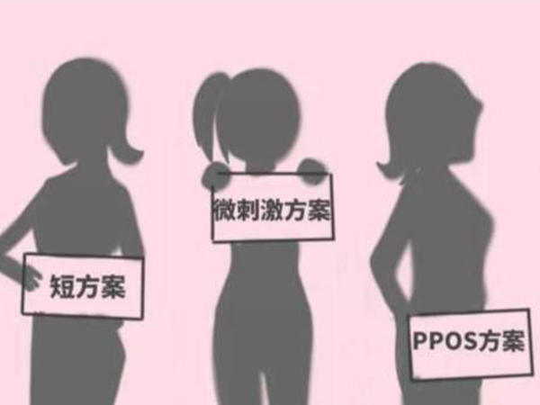 终于知道试管哪种方案最好了，超长方案真不是正确答案