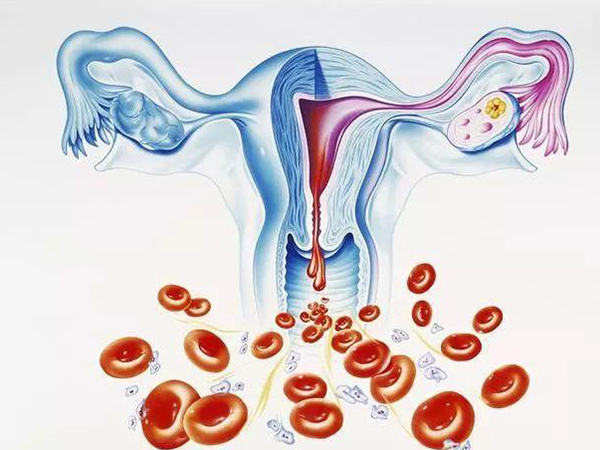 卵泡不成熟教你三招调理好，想最快还得用激素