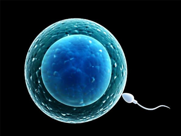 2022北京试管婴儿十大医院更新了，想做三代的赶紧收藏