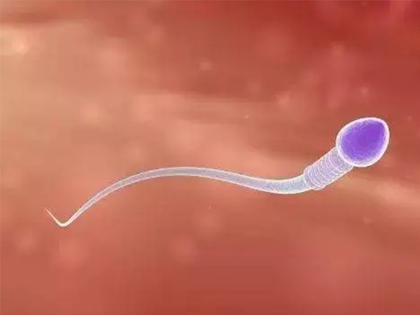 2022广州男性生殖科医院最新排名：这几家三甲医院脱颖而出