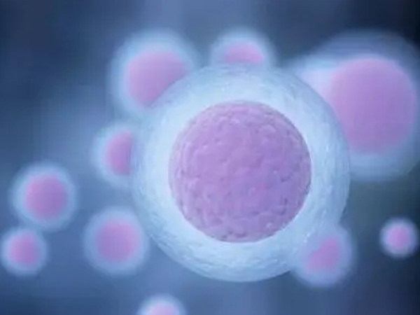 看懂卵泡监测单子一点也不难，除了大小外只看这个指标即可