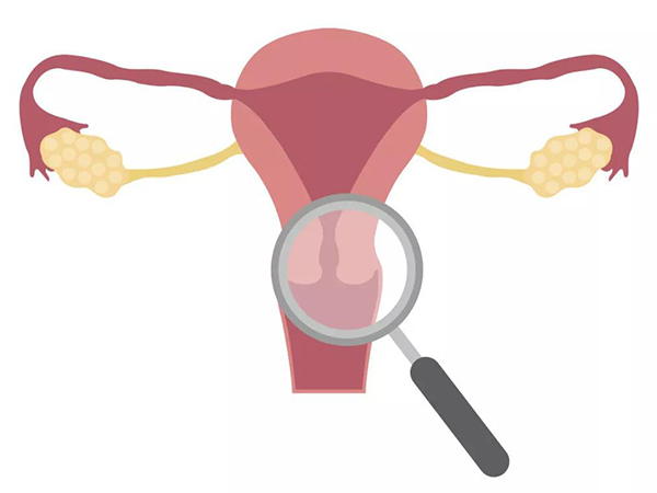 促进卵泡发育成熟分三步走，常吃这些更有助于调理