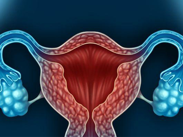 女性卵泡过多不是好事，其后果并不只影响生育