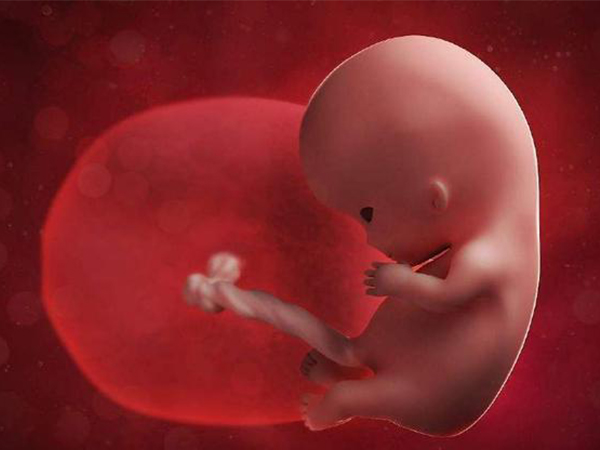 这五大原因就是胎儿畸形的罪魁祸首，化学因素真防不胜防