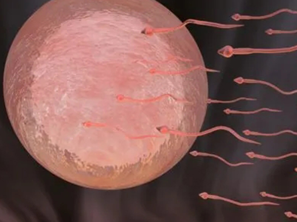 卵泡成熟后迟迟不排出也别慌，除了吃促排药还可以这么做