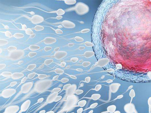 轻度无精症恢复生精功能也简单，这些调理方法值得学习