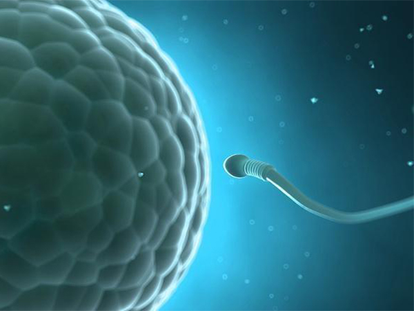 人工授精原来是这么做的，四个步骤带你走完全过程