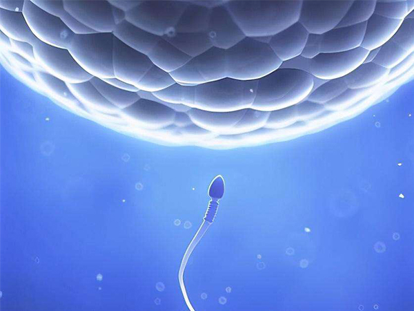 盘点意外怀孕的15种方式，有的行为太过奇葩