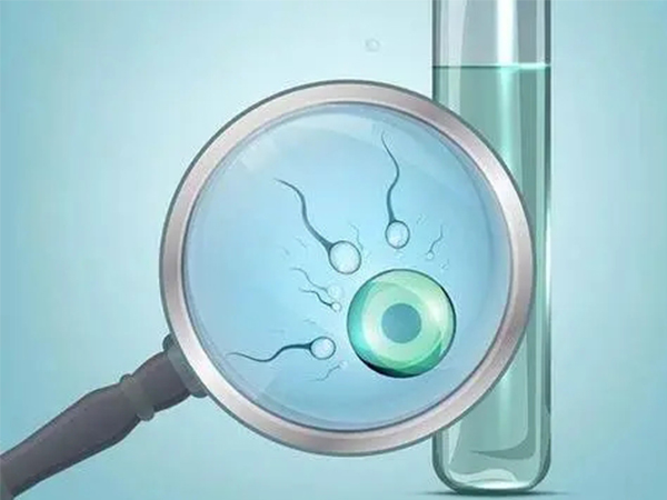 人工授精vs试管婴儿技术，可不仅仅是适用人群上有区别