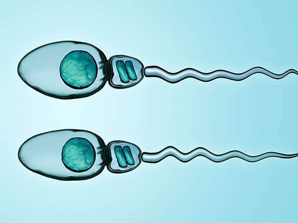 国内27家人类精子库信息大放送，一张名单告诉你所有地址