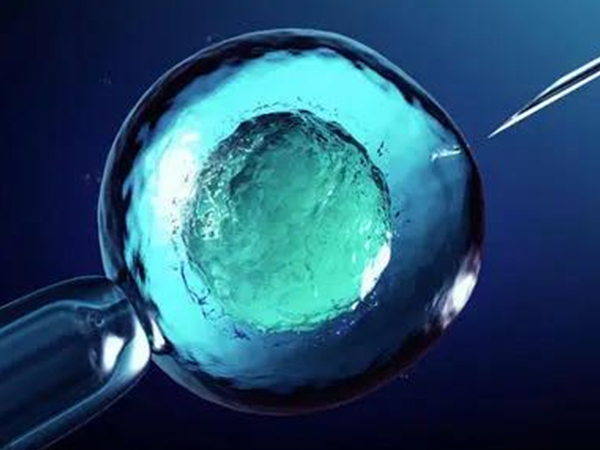 2022人工受孕费用明细表出炉，看完就知道大概要多少钱了