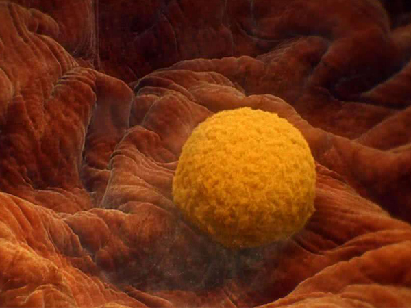 盘点四川三代试管成功率高的医院，真不用紧盯华西二院不放了