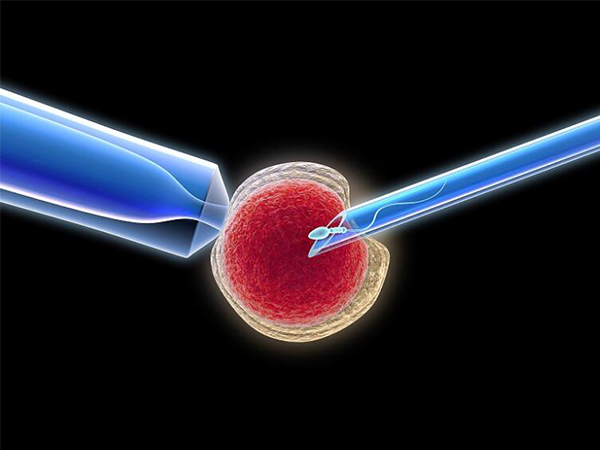 提升试管成功率就用这三招，最有效的方法还是得从自身入手