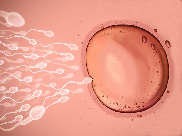 做供精人授前这些手续必不可少，身体条件不满足真做不了