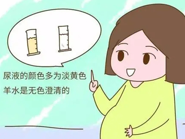 孕中期半夜醒分不清羊水还是尿？想自己判断可以从颜色入手