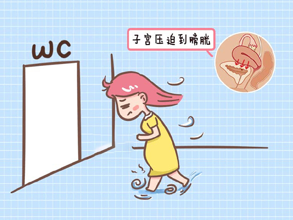 有这四大症状就说明大概率是宫外孕，别以为只是普通尿频