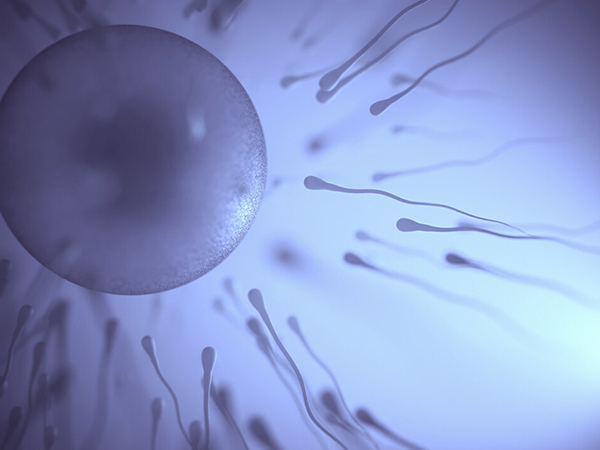 带你看看质量好的精子长啥样，这几个标准成衡量的关键