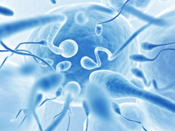 精子质量靠这些指标说了算，这些衡量标准都满足才是正常的