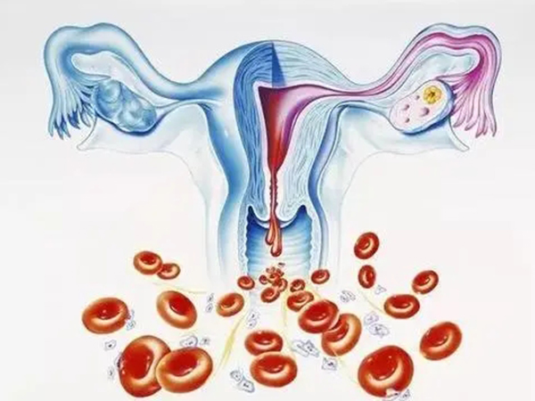 这四个原因就是不能自主排卵的元凶，内分泌紊乱真得上点心