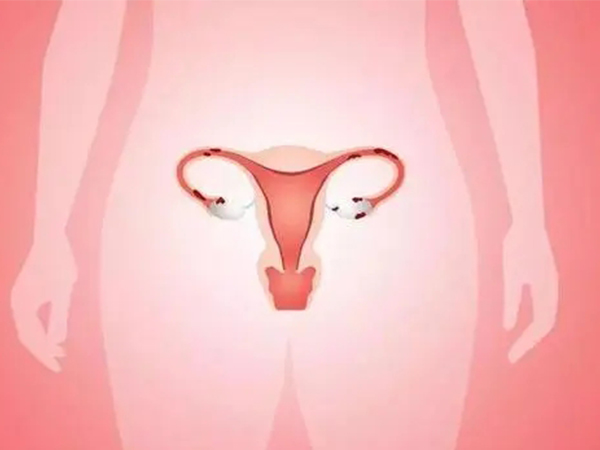 六个好方法助你延迟绝经期，最有效的方案还得看它