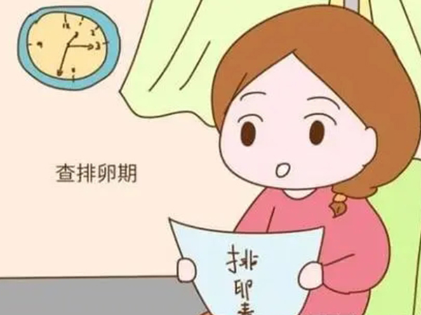 想知道自己排卵与否很简单，这四大症状一对比就有结果了